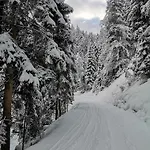 Salvenblick Зёлль