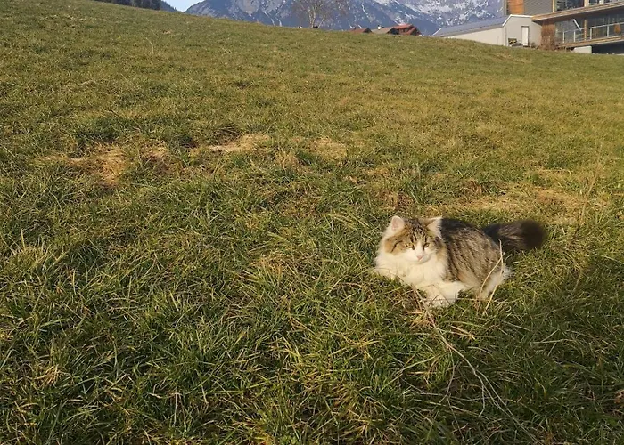 Salvenblick Appartamento *